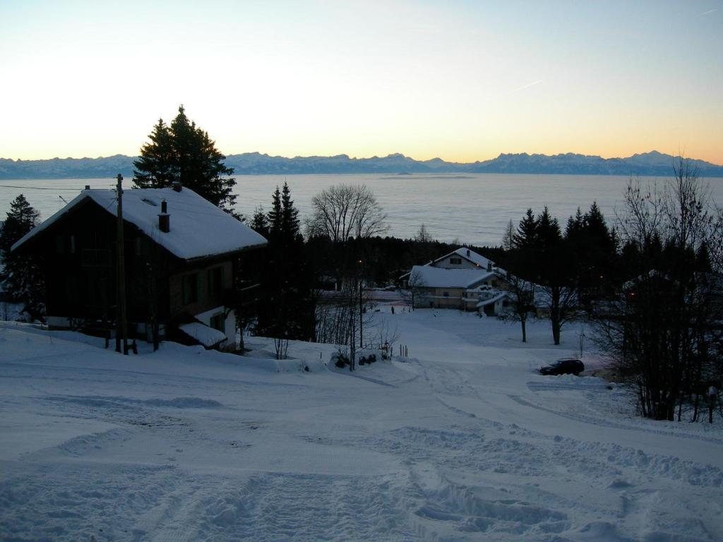 Le Coucou Et Chalet Beau-Site Hotell Les Rasses Exteriör bild